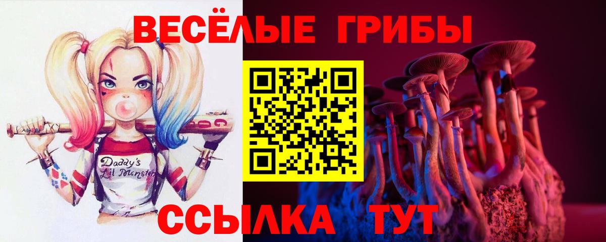 Псилоцибиновые грибы прущие грибы Пенза